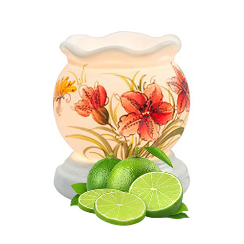 Đèn xông hương sả chanh